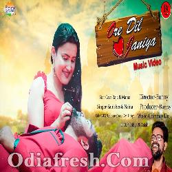 Ore Dil Janiya - Romantic Odia Song By Sabishes, Neina